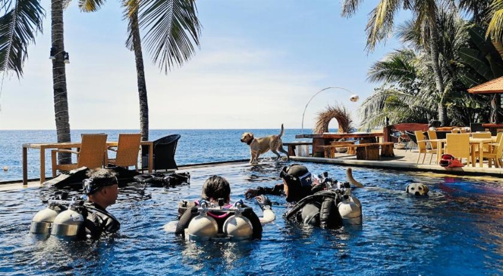 Villa Alba Bali Dive Resort Image 33