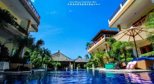 Villa Alba Bali Dive Resort image 40